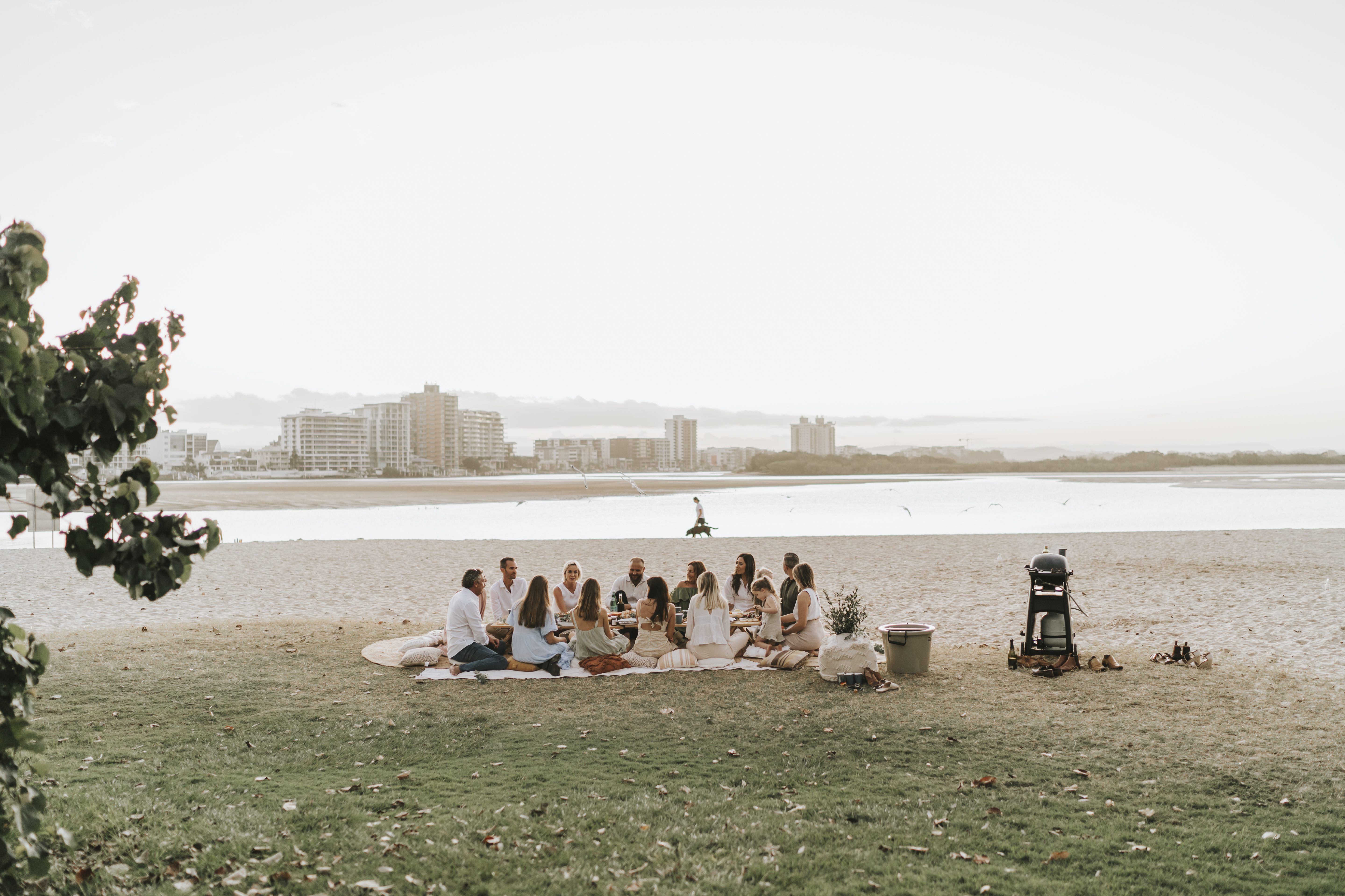 HOME Sunshine Coast Cotton Tree