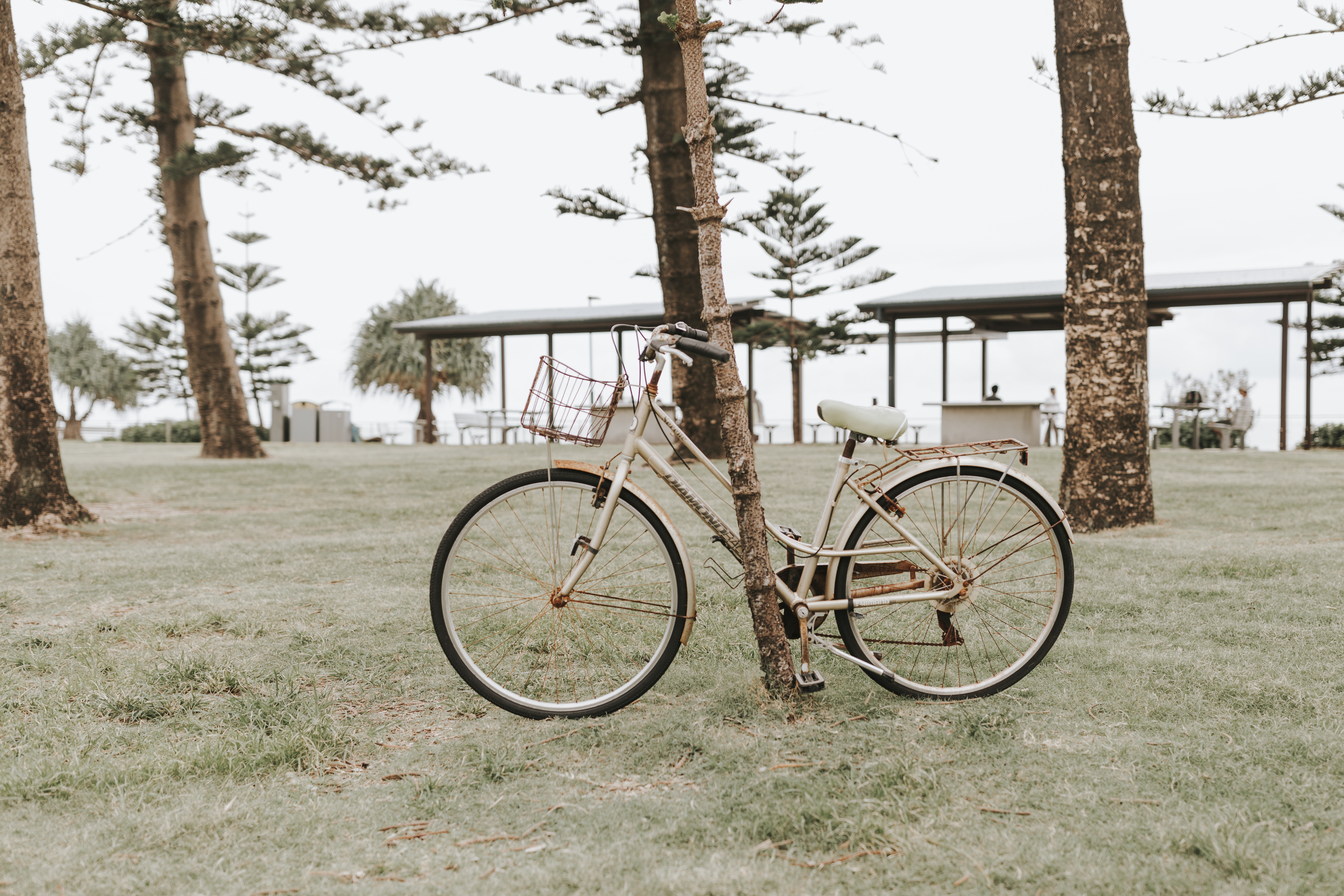 Andrew Schofield HOME SUnshine Coast Beach